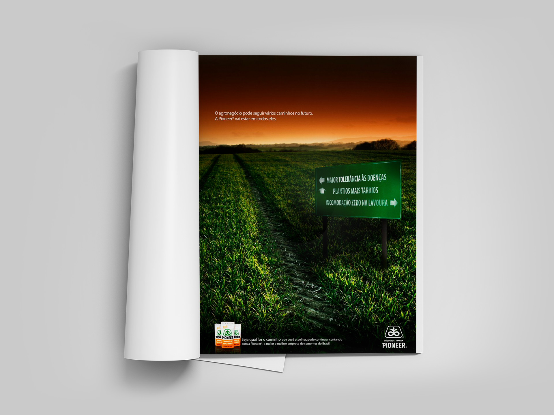 mockup-print-pioneer
