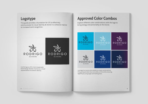 Basic Visual Identity Manual